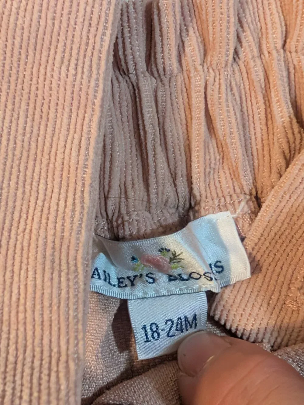 Toddler Girls jumper and top, size 18-24 months; qty 3